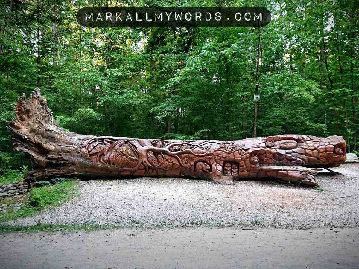 Chainsaw Log, a fallen tree sculpture in the woods