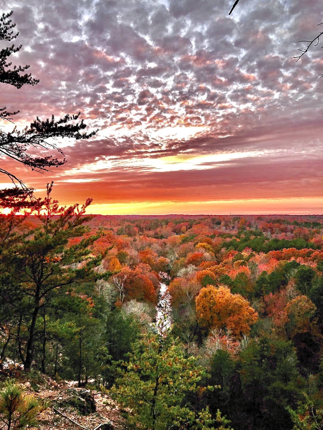 Eno River and surrounding forest at sunset in fall