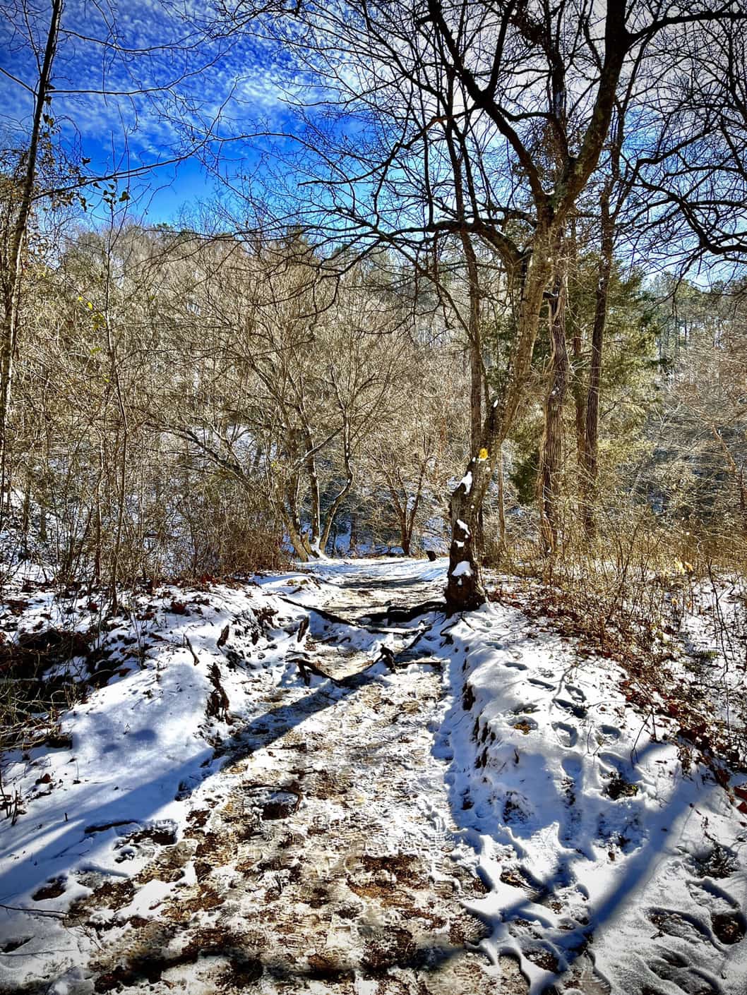 Snowy trail on hillside